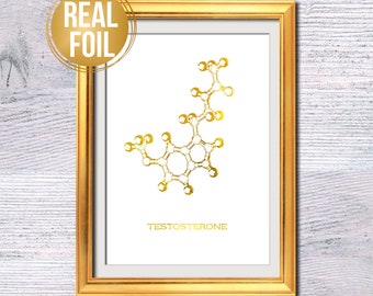 Impresión en lámina de molécula de testosterona: Arte de pared hormonal G529