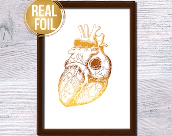 Foil Human Heart Anatomy Art Print: Medical Science Decor G280