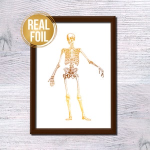 Vintage Skeleton Poster, Anatomy Art Print, Real Foil Skeleton Decor, Medical Illustration Wall Art, Unique Science Gift G266