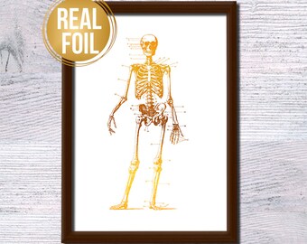 Skeleton real foil poster Gold foil skeleton illustration Scientific print Medical wall decor Doctor gift Anatomy poster Real gold foil G268