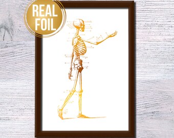 Gold foil skeleton poster Anatomical print Vintage skeleton illustration Medical wall decor Doctor gift Anatomy poster Real gold foil G267
