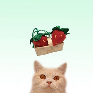 Freak Meowt, Handmade, Unique, Canadian Catnip cat toys, Scrumptious Strawberries, cool cat toys, gifts for cats, catnip toy, cat toy image 3