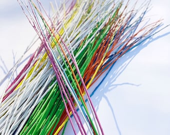 Colorful Willow Branches for floral design, ECO BRANCHES, Colorful Branches, HOME decor, Craft projects, Table decoration, Wedding decor
