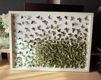 Green butterflies Wall ART, 3D Paper Art, Handmade décor, Home decor, Butterflies’ art, Wild butterflies art,Butterflies painting