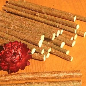 May include: A pile of brown wooden sticks, some with the ends cut at an angle, and a single red flower.