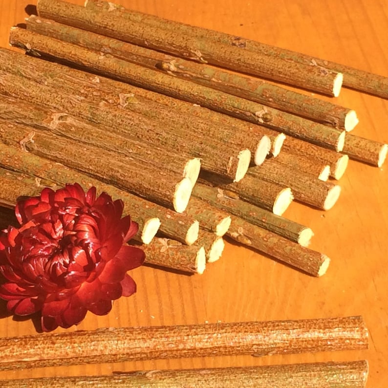May include: A pile of brown wooden sticks, some with the ends cut at an angle, and a single red flower.