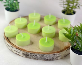 Vela aromática para regalo con tapa TE VERDE MATCHA y GINKGO 450