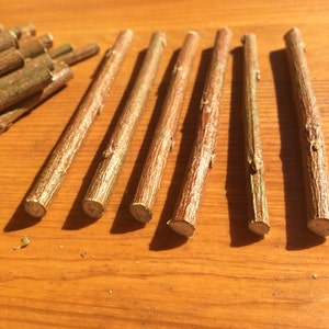 May include: A collection of thin, brown wooden sticks, some bundled together and others laid out in a row. The sticks are about 10 inches long and have a natural, rustic appearance.