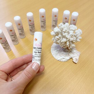 Sweet rhubarb Moisturizing lip balm/ Organic lip balm/ Beeswax lip balm/Organic ingredients/Lip butter/Sweet rhubarb lip balm/
