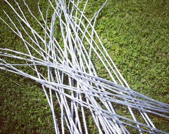 Silver Willow Branches for floral design/ ECO BRANCHES/Branches/ HOME decor/ Craft projects/ Table decoration/ Home composition/