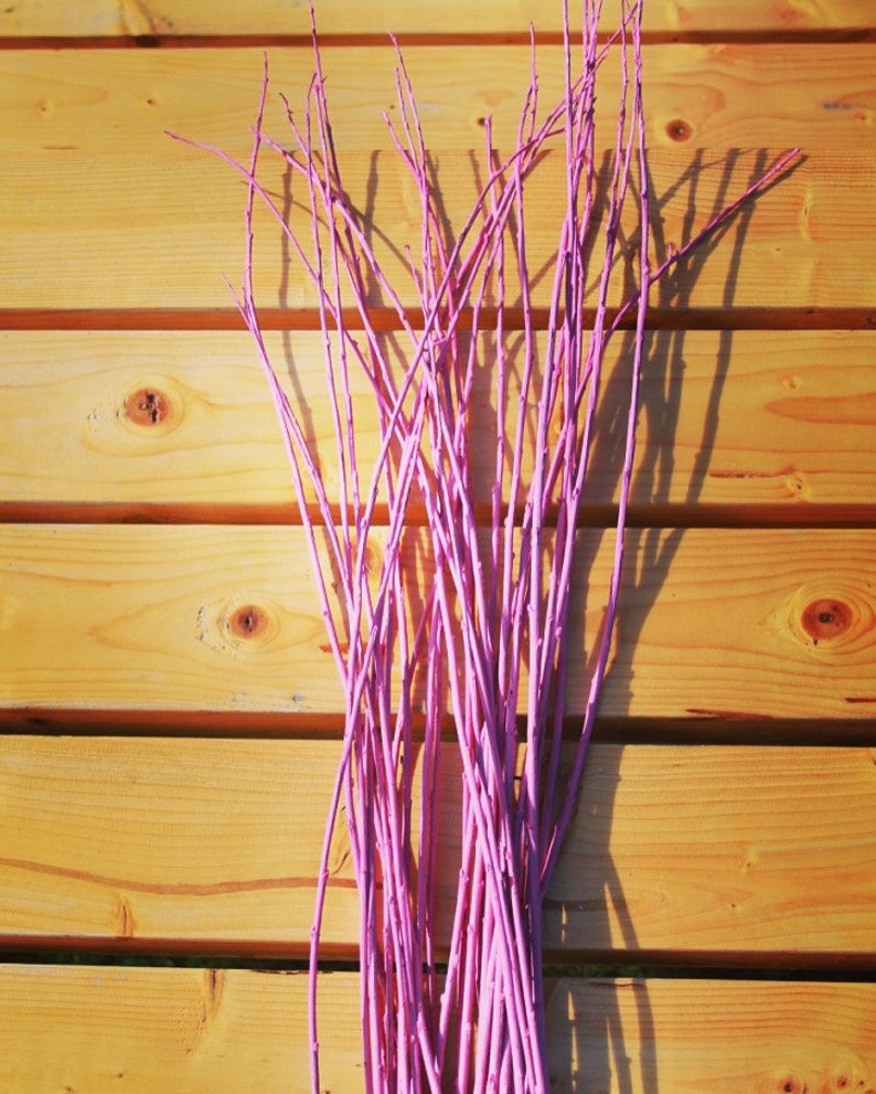 PINK Willow Branches for Floral Design ECO BRANCHES Craft Etsy