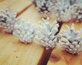 Set of 30” White Pine Cones, Natural Pine Cones, Floral Crafts, Christmas Supplies, Home ornaments, Rustic home decoration, Christmas Décor