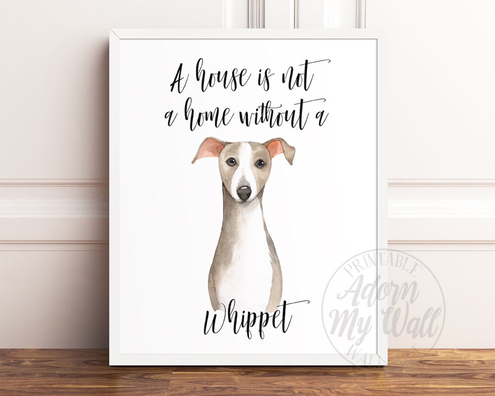 whippet merchandise