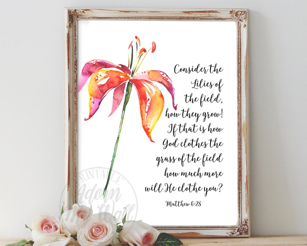 Matthew 628, Consider the Lilies, Matthew 6, Lilies of the Field