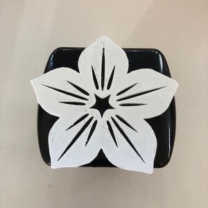 Può includere: Un ritaglio a forma di fiore bianco con una stella al centro, su uno sfondo nero.