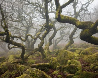 Padley Gorge Fine Art Print: Peak District Landscape Photography