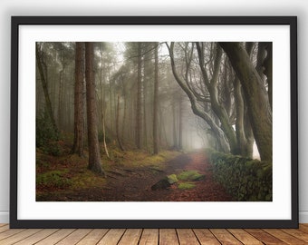 Peak District Print | Darley Dale Woods Fine Art Photography