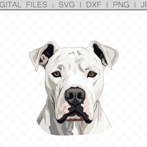 Dogo Argentino SVG arquivos de corte Cricut Clip Art ilustração vetorial PNG fundo transparente svg arquivos de imagem de cabeça de cachorro uso comercial