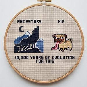 Puede incluir: Bordado de punto de cruz en un aro de madera. El diseño presenta un lobo y un pug, con el texto "Antepasados" y "Yo". Debajo, el texto dice "10.000 años de evolución para esto".