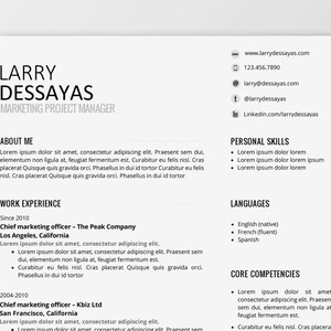 Minimalist professional resume (word)
