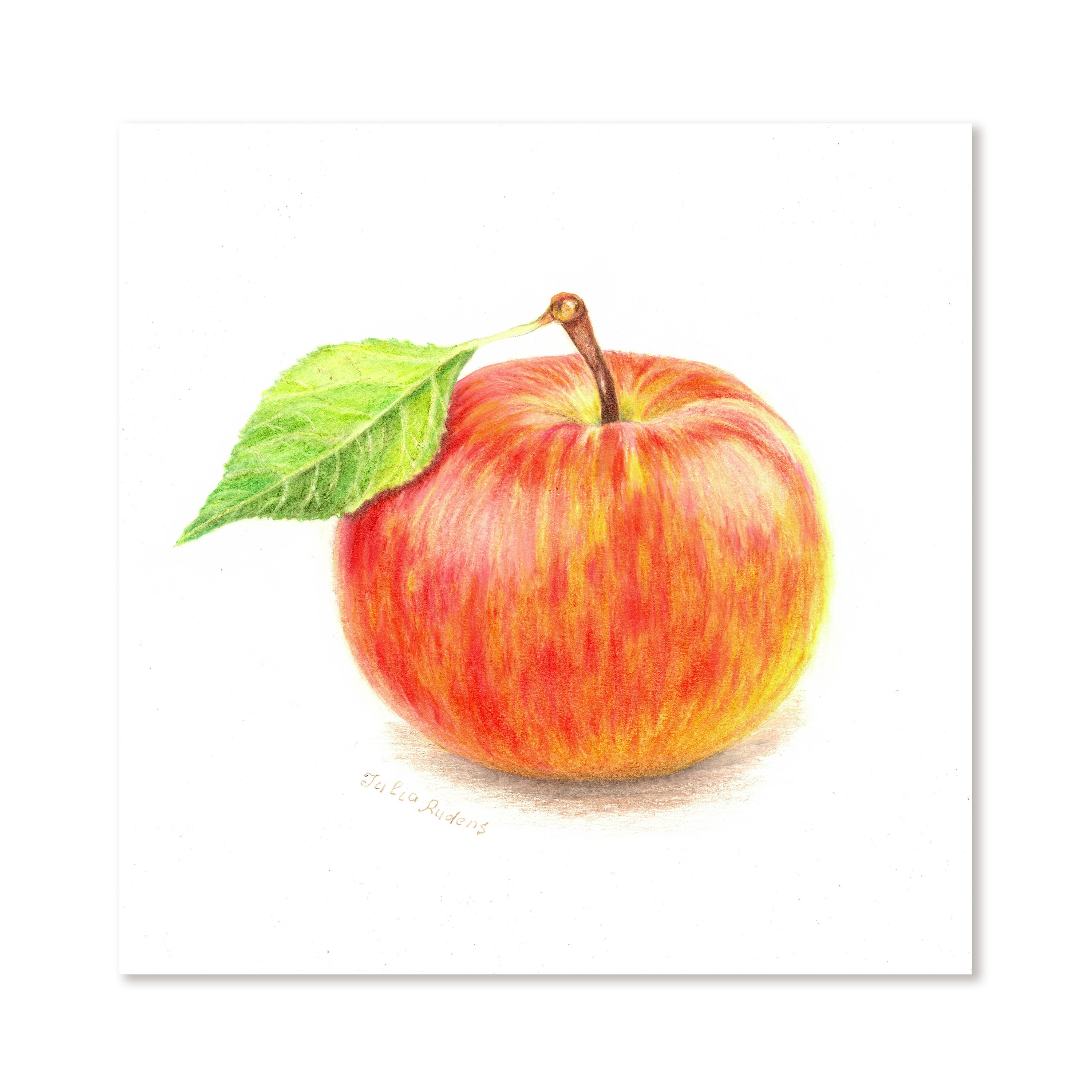 Red-yellow Apple - Original Coloured Pencils Drawing A4 - Etsy