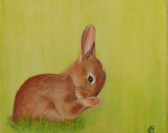 Young rabbit - Original painting