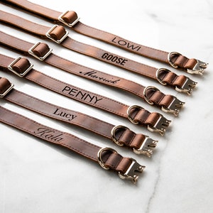 Gepersonaliseerde set met distressed leer en kevlar hondenhalsbanden met riem