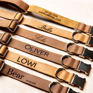 Collar de cuero desgastado personalizado para perros con hebilla de metal y correa opcional de Left Coast Original