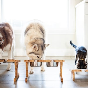 Personalized Wood Pet Bowl Stands by Left Coast Original