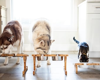 Personalized Wood Pet Bowl Stands by Left Coast Original