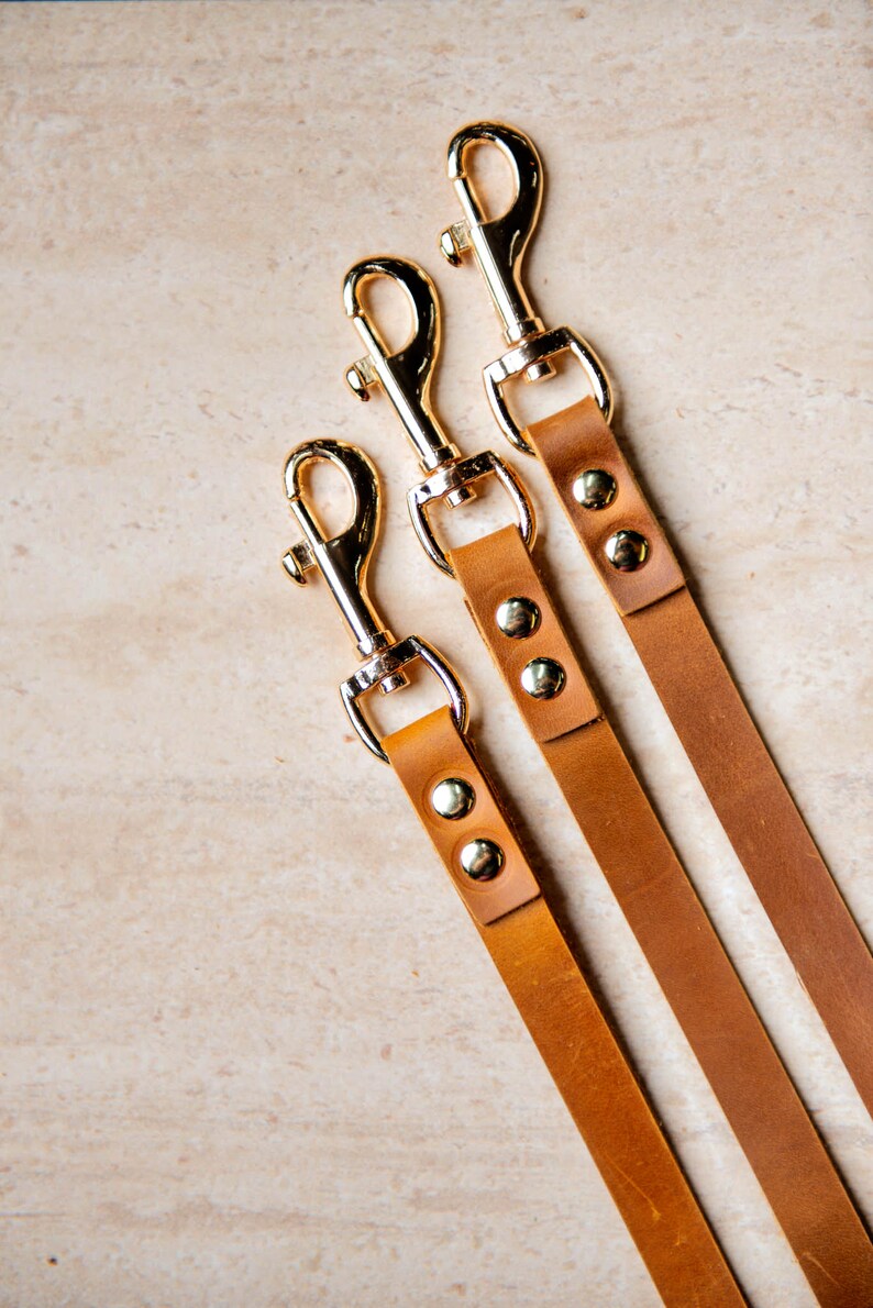 May include: Three brown leather dog leashes with gold clasps and silver studs. The leashes are arranged in a row, with the shortest leash at the top and the longest leash at the bottom.