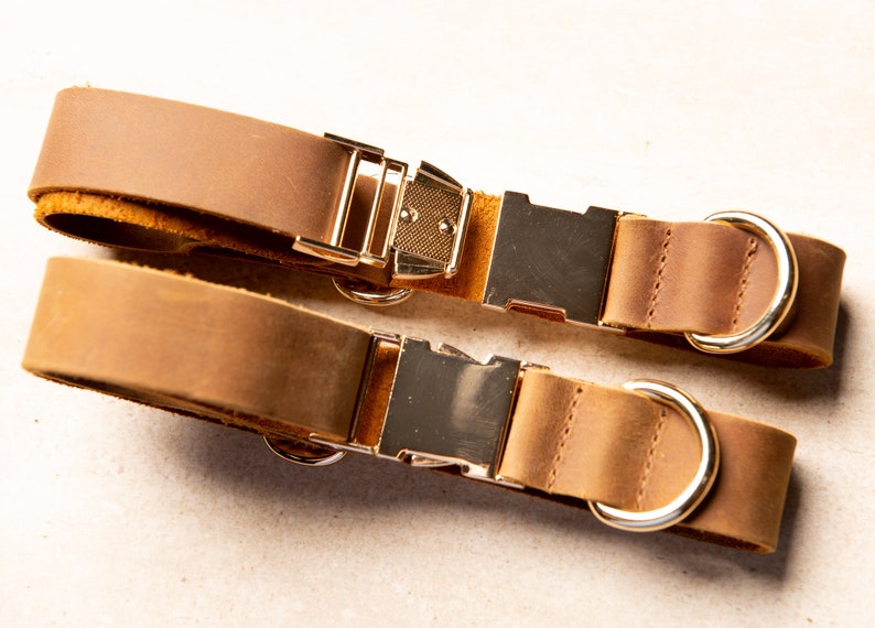 Puede incluir: Dos collares de perro de cuero marr&oacute;n con hebillas y anillas en D de metal dorado.