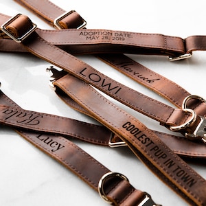 Personalized Distressed Leather and Kevlar Dog Collars