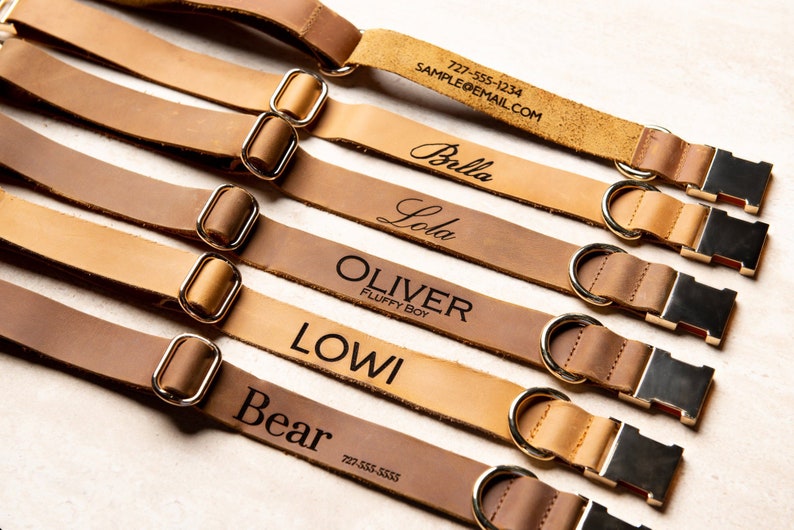 May include: Six brown leather dog collars with gold metal hardware and personalized names, including "Lola", "Oliver", "Lowi", "Bear", and "Bella".