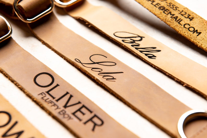 Pode incluir: Quatro coleiras de c&atilde;o de couro com nomes personalizados, "Oliver Fluffy Boy", "Lola", "Bella" e "Oliver". As coleiras s&atilde;o marrons e t&ecirc;m argolas de metal dourado.