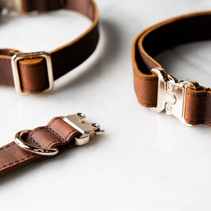 Personalized Distressed Leather and Kevlar Dog Collars