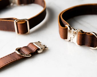 Personalized Distressed Leather and Kevlar Dog Collars