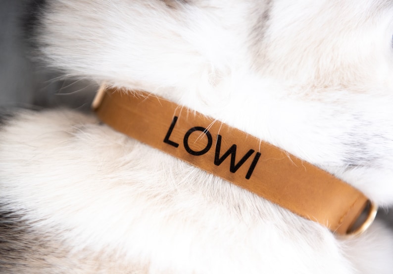 Puede incluir: Primer plano de un collar de perro de cuero marr&oacute;n con el nombre "LOWI" grabado en letras negras.
