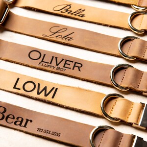 Collar para perro de cuero envejecido personalizado con hebilla metálica y correa opcional de Left Coast Original. imagen 8