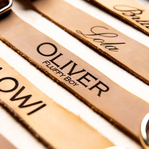 Puede incluir: Cinco collares de perro de cuero con anillos de metal dorado y nombres personalizados: "Lowi", "Oliver Fluffy Boy", "Lola", "Bella" y un quinto collar con un nombre ilegible.