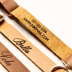 Puede incluir: Tres correas de cuero marr&oacute;n con anillos de metal dorado. Las correas est&aacute;n personalizadas con los nombres "Lola", "Bella" y un n&uacute;mero de tel&eacute;fono y una direcci&oacute;n de correo electr&oacute;nico: "727-555-1234 SAMPLE@EMAIL.COM".