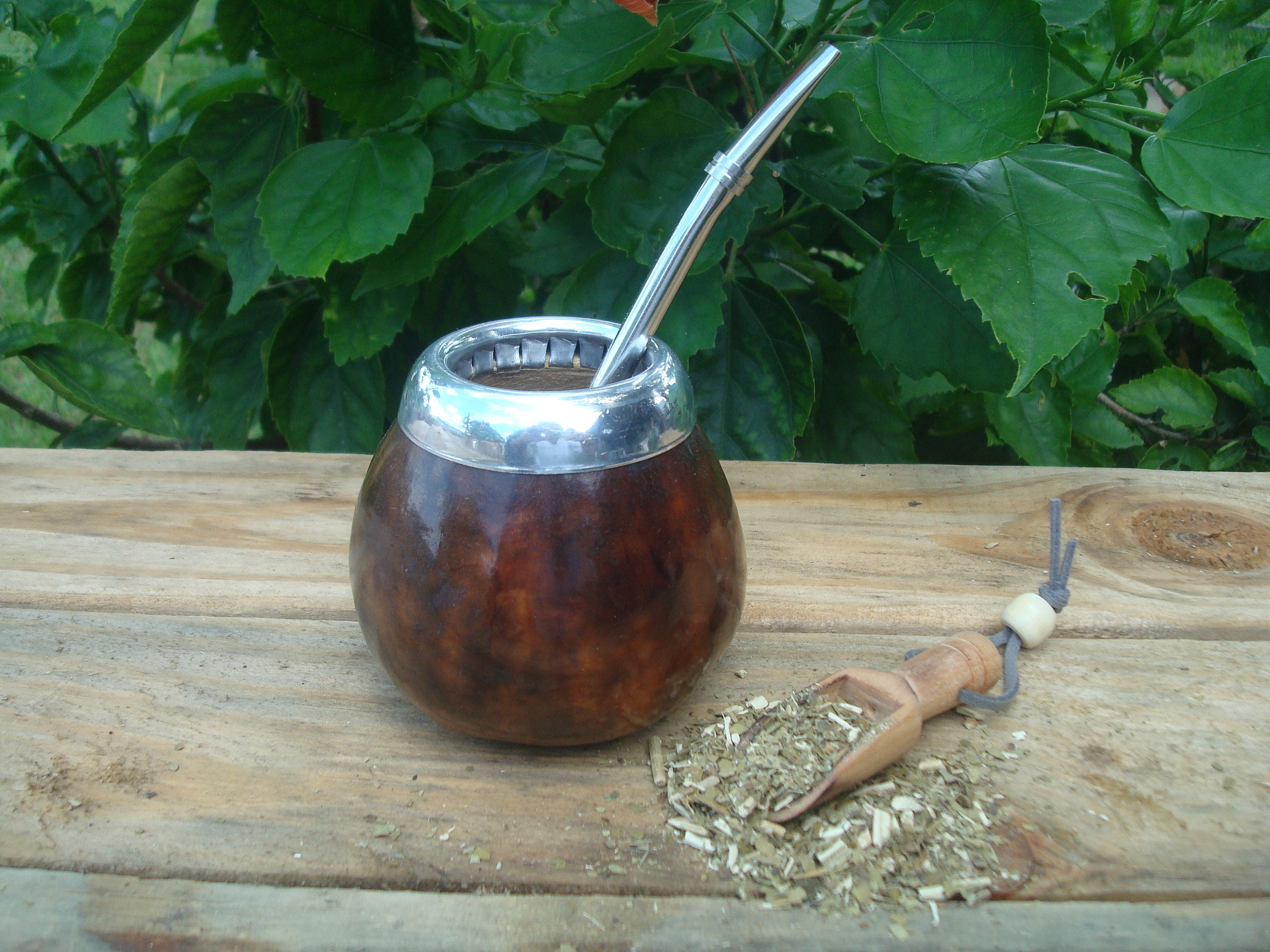 Mate Argentino Gourd Straw bombilla Yerba Mate Mate Uruguay Argentinien  polished Dark Brown Color BONUS Spoon Yerba 