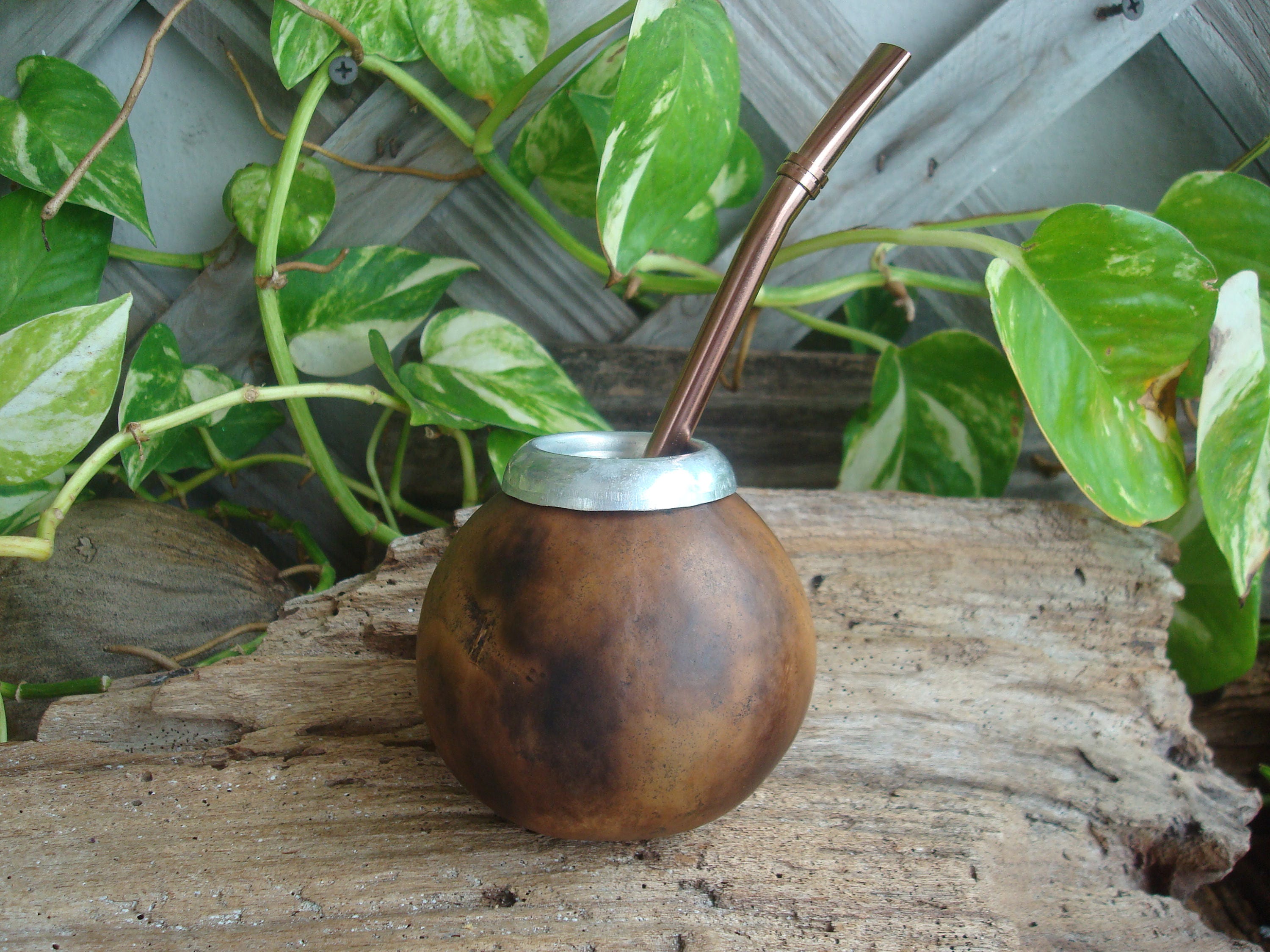 Argentina Hand Made Mate Gourd Calabaza Tea Cup Bombilla Straw Drink S —  AllTopBargains