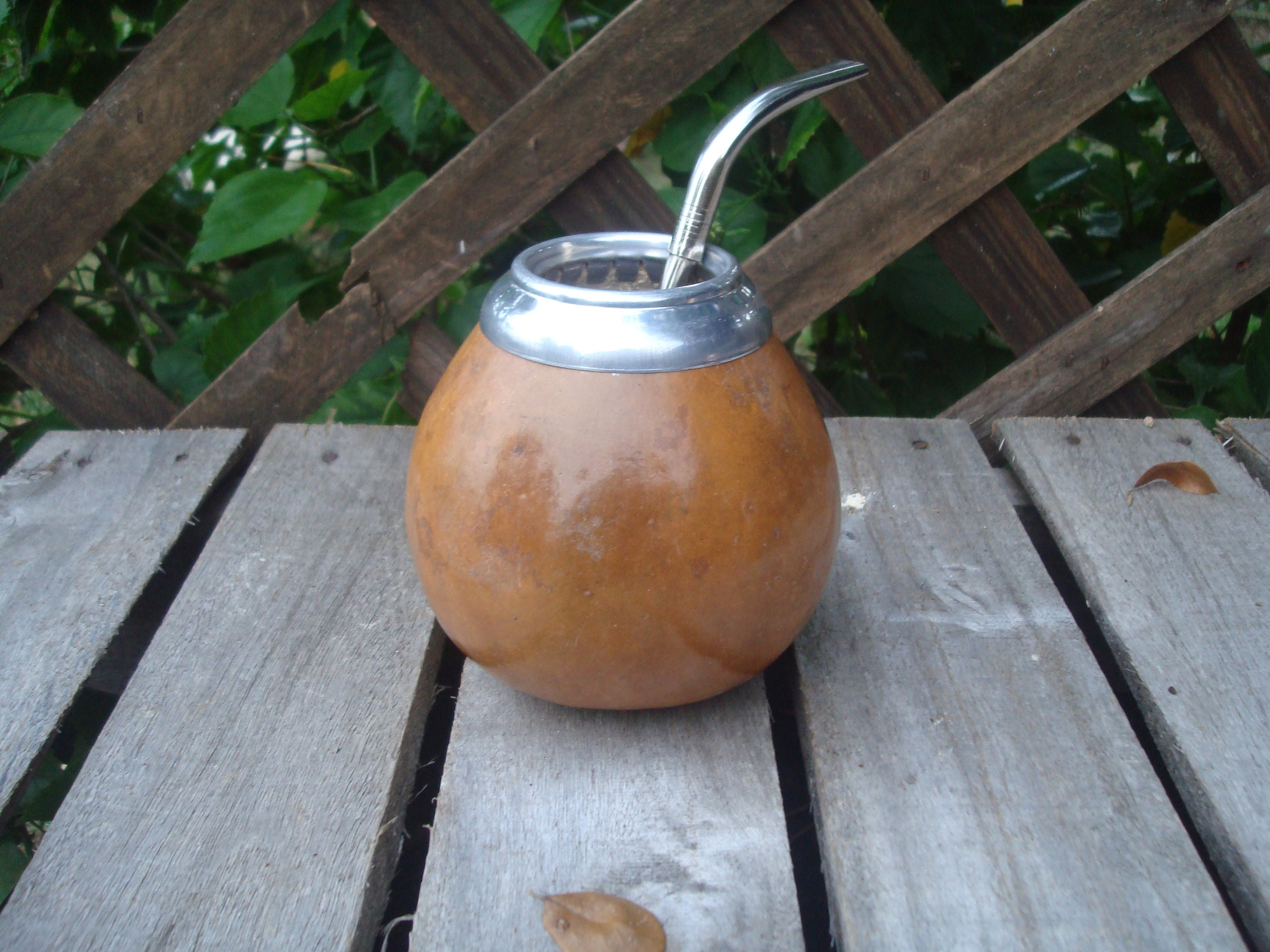 personnalisé - mate calabaza familier gourde, + paille pico loro cuillère bois yerba mate.