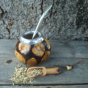 Mate Argentino Gourd +  Straw -Bombilla -  Yerba mate - Mate Uruguay - Argentinien -Polished Dark Brown Color BONUS Spoon Yerba