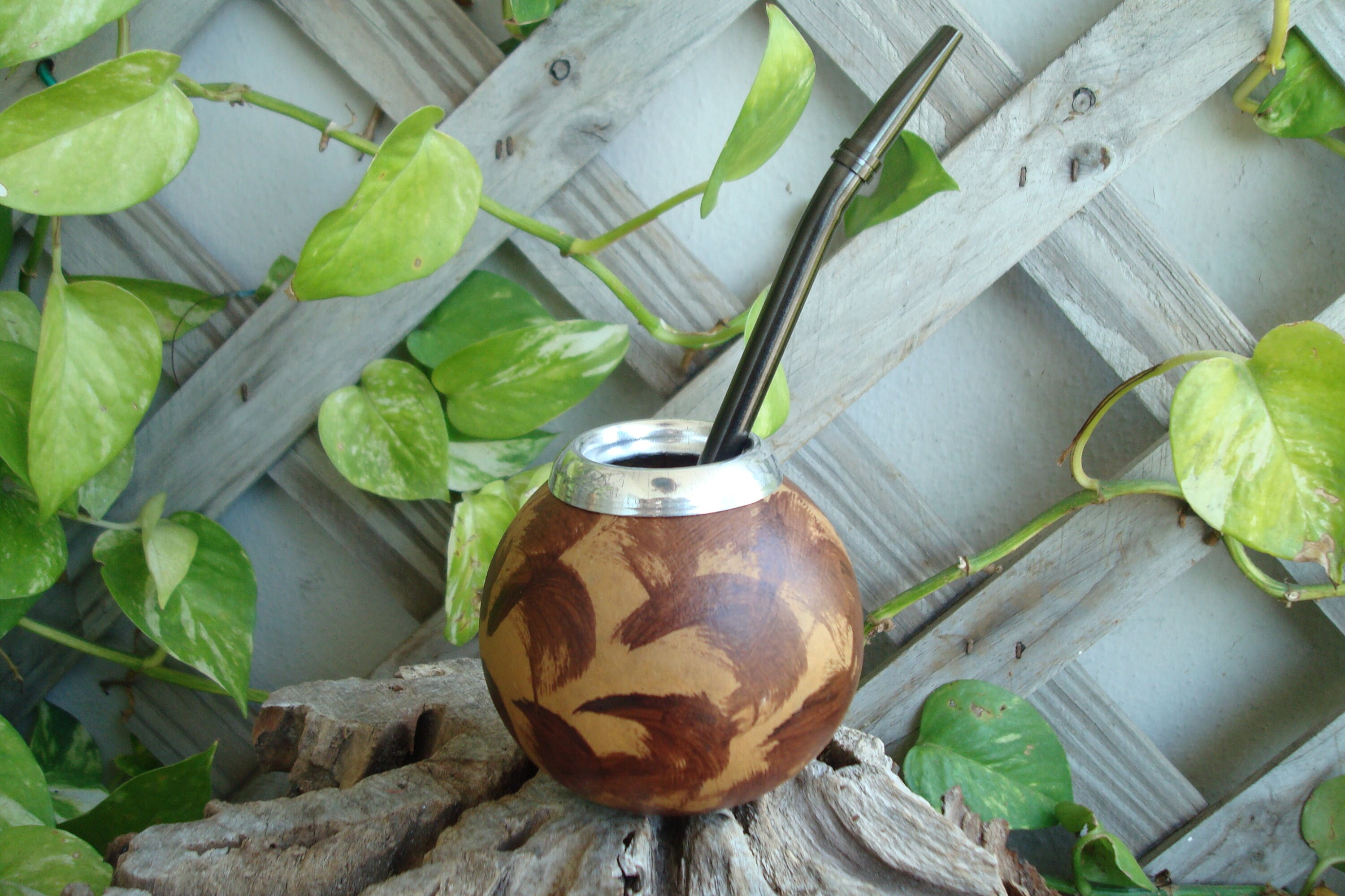 and Spoon Bombilla Handmade Mate Gourd Set Including Straw