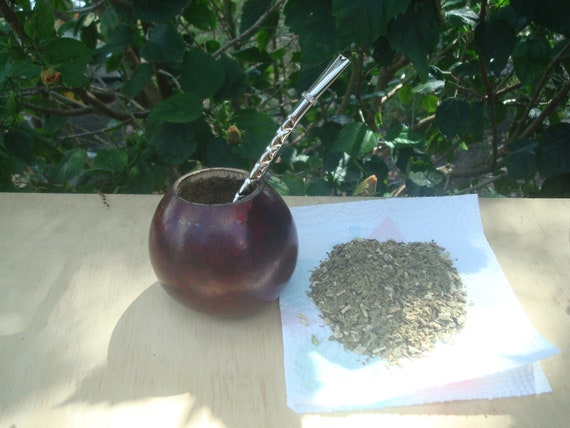 Mate Gourd Straw Bombilla, Mate Argentino, Uruguayan mate , Birthday, Cup  Gourd Mate Calabaza - BONUS 2 oz of Yerba Mate - 12/15 Drink