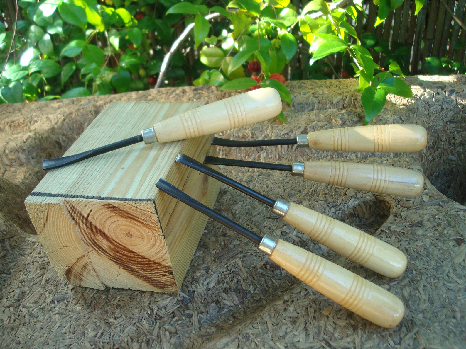 Personalized 5 PCS Wood Working Tool Carving Chisels Tools Etsy