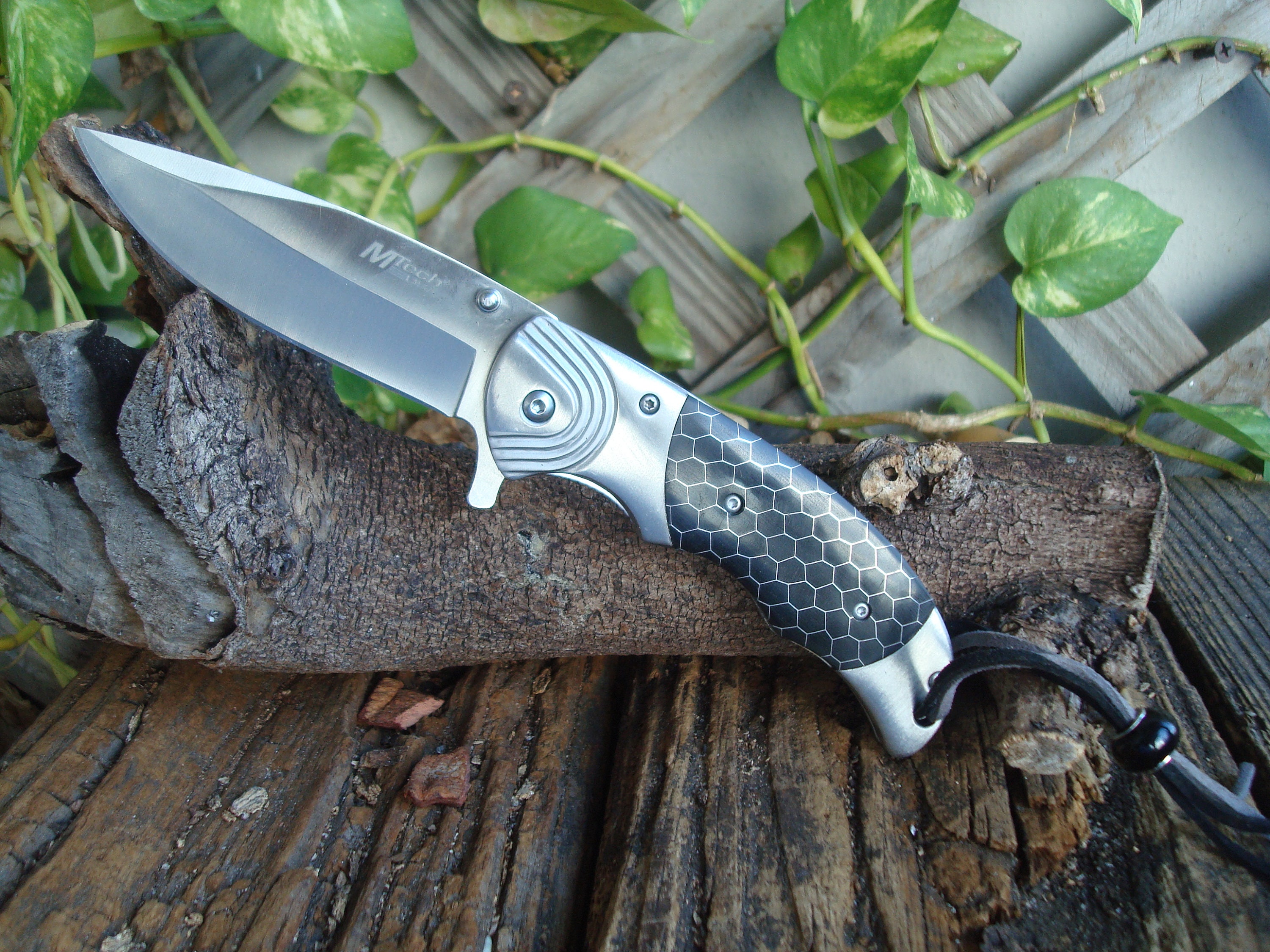 Winter Eagle Pocket Knife 3Cr13 Stainless Steel