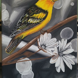 Yellow finch poster